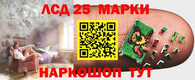 МДПВ Бердск