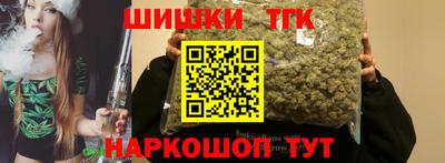 МДПВ Бердск