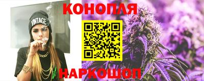 МДПВ Бердск