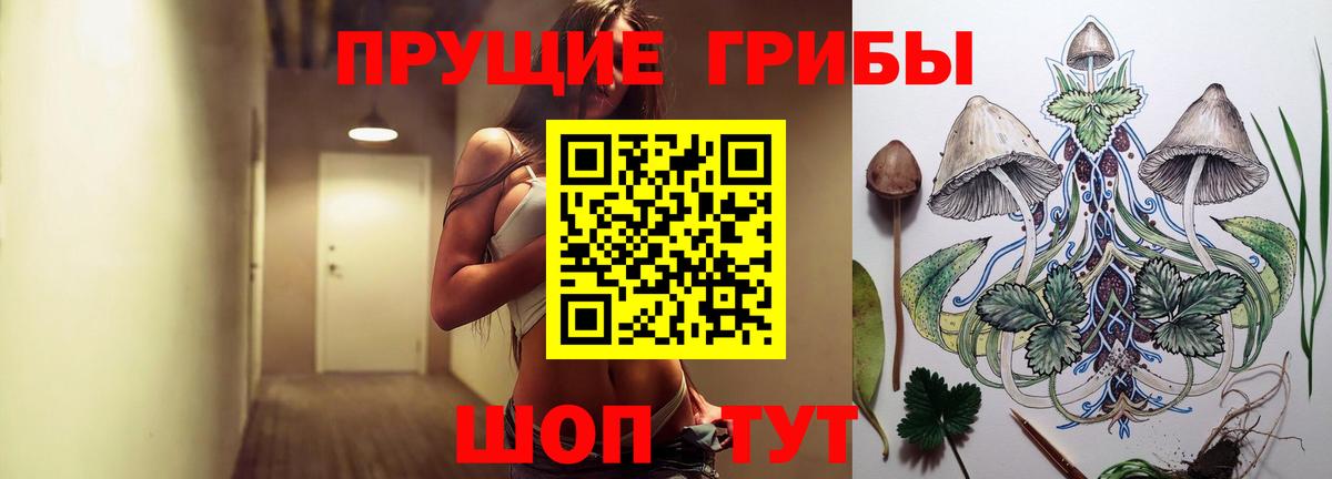 Псилоцибиновые грибы MAGIC MUSHROOMS Богородицк