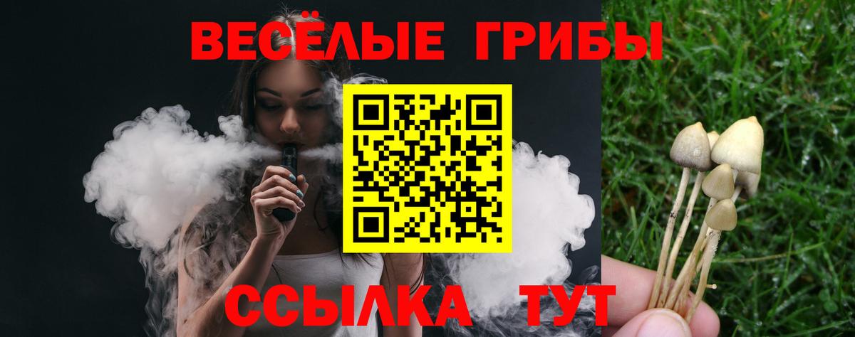 Псилоцибиновые грибы GOLDEN TEACHER  Псилоцибиновые грибы прущие грибы  Вход с VPN  Богородицк 